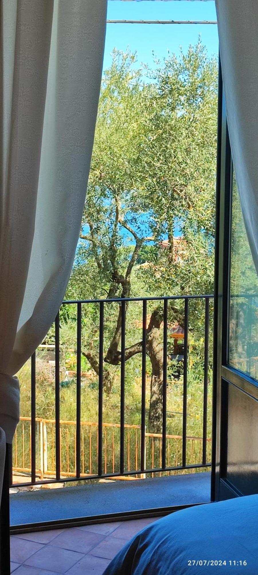 مبيت وإفطار سورينتو Lally'S Garden المظهر الخارجي الصورة